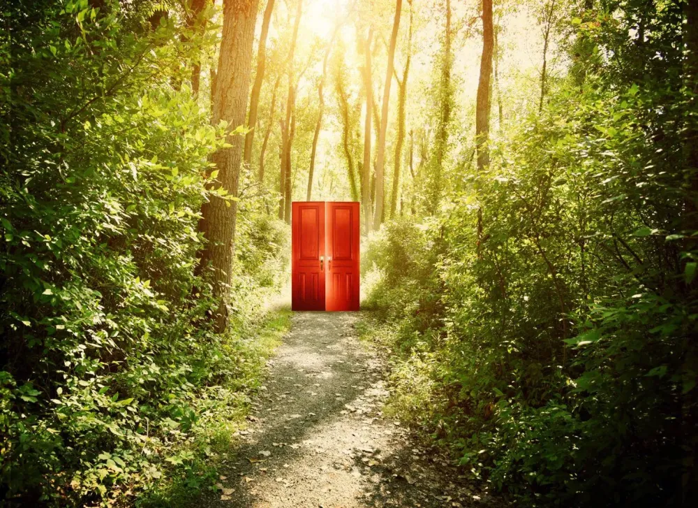 clairvoyance à La Tour-de-Salvagny